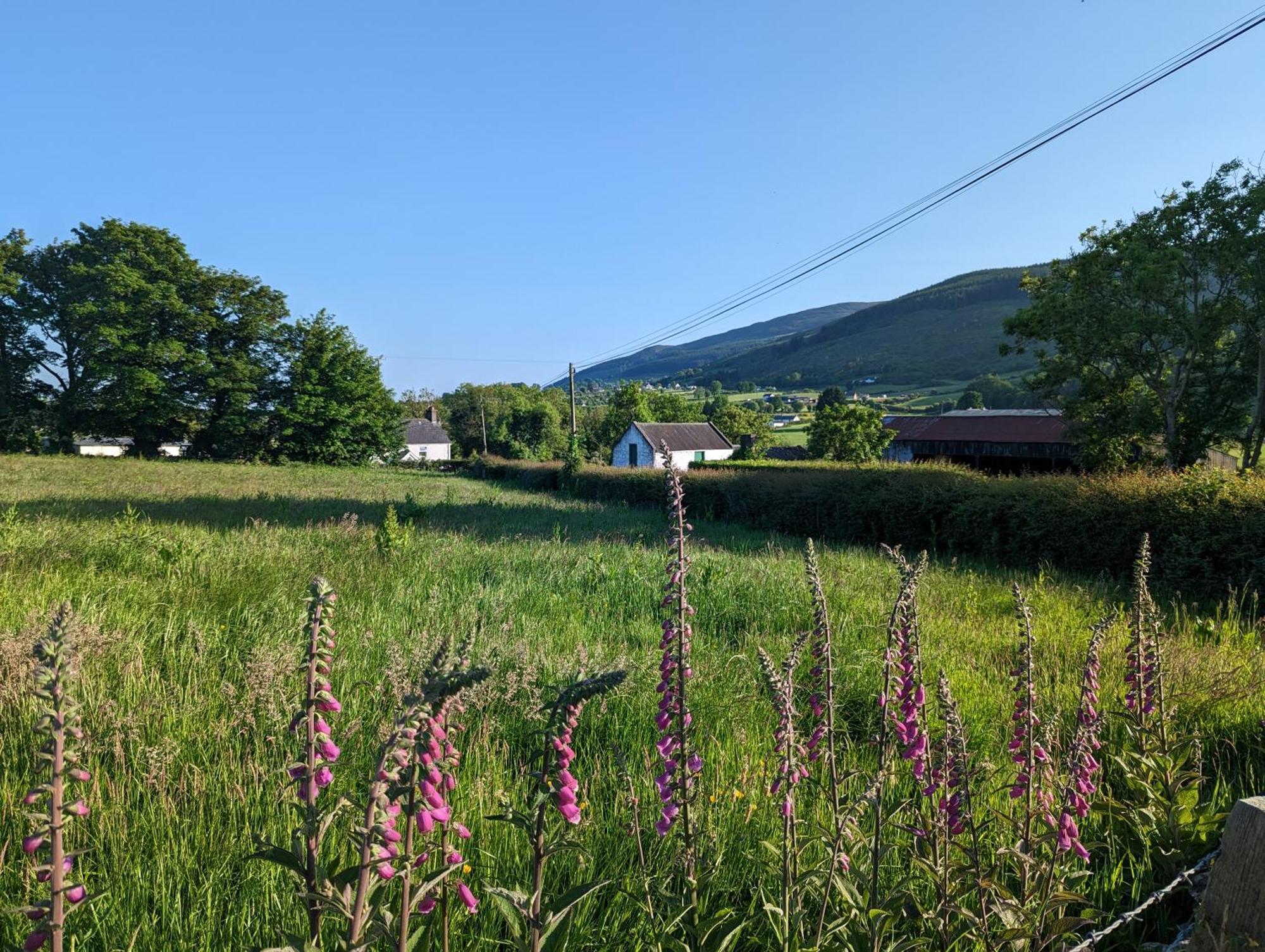 Killeavy Cottage Meigh ภายนอก รูปภาพ